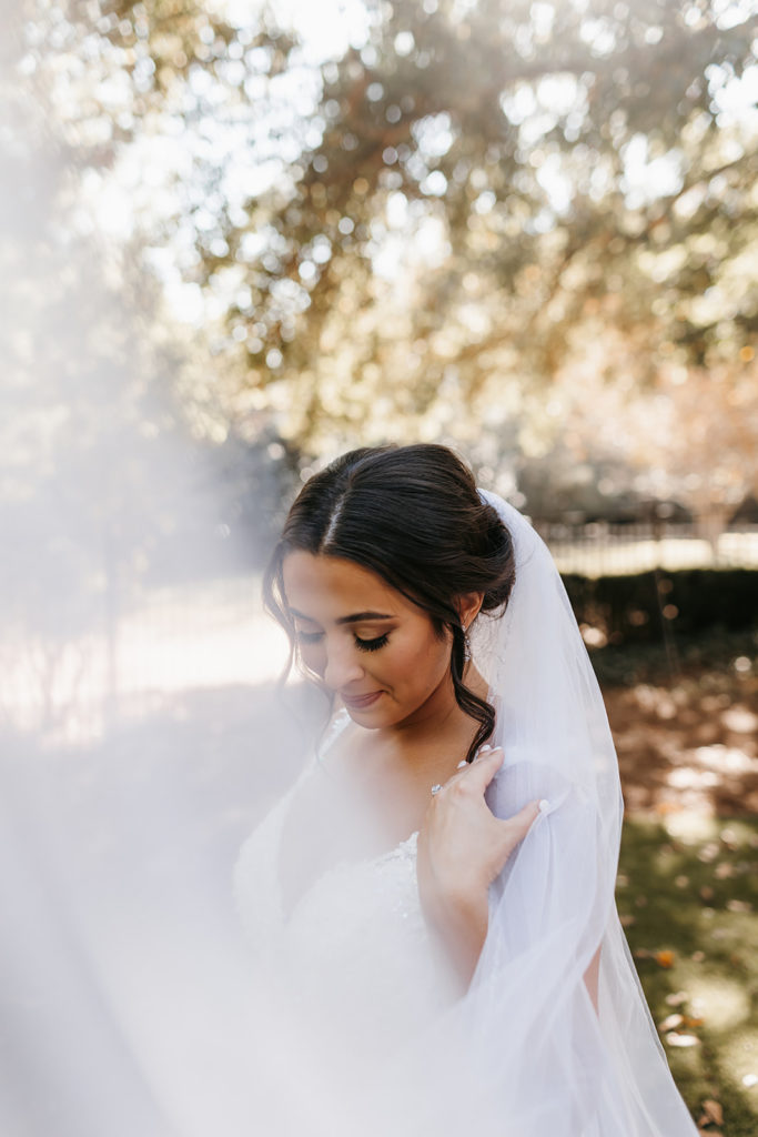 Bridal portraits with wedding veil